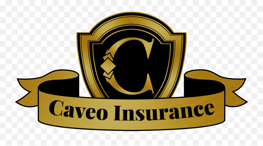 Distracted Driving In Minnesota U2013 Caveo Insurance - Clip Art Png,Driving Logos