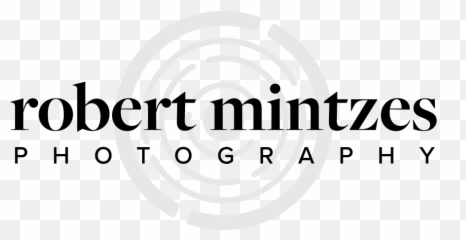 Fog - Robert Mintzes Photography Dot png