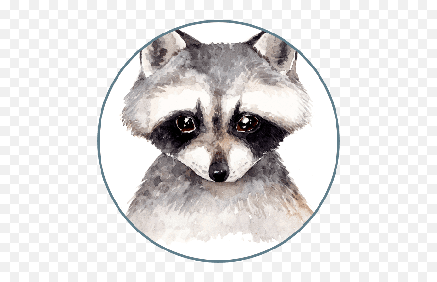 Children Dentist Chino Hills - Kids Dentist Near You Png,Racoon Png Children Dentist Chino Hills - Kids Dentist Near You Png,Racoon Png