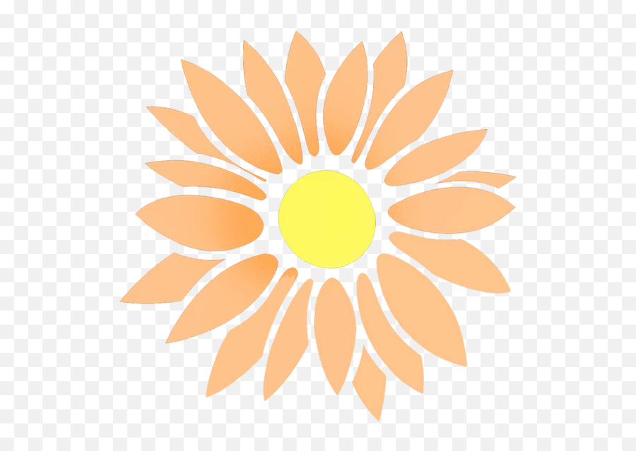 Publishings Certified Foggles - Sonnenblume Icon Png,Orange Flower Png