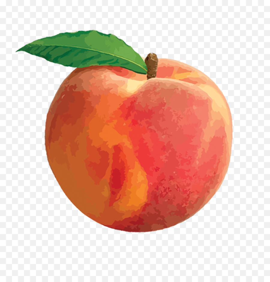 Clip Art - Peach Png,Peach Transparent Background