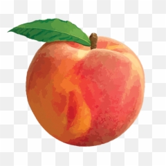 Clip Art - Peach Png
