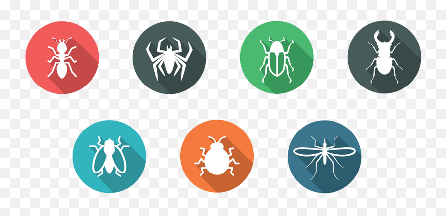 Bpc Pest Control In Ventura Santa - Tangle Web Spider Png,Western Exterminator Logo