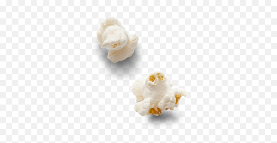 Single Popcorn Kernel Png - Single Transparent Popcorn Png,Popcorn Kernel Png