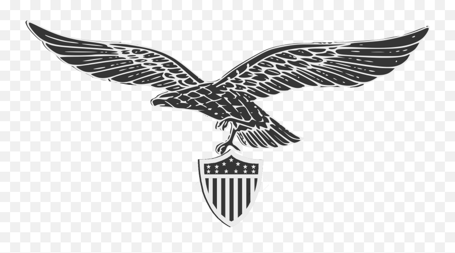 United States - Luftwaffe Eagle Without Swastika Png,Nazi Eagle Png