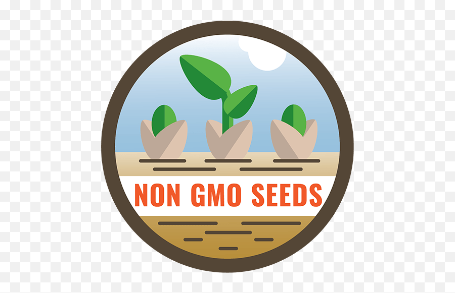 Non - Gmo Sprouting Seeds Organic U0026 Conventional Seeds Non Gmo Seed Logo Png,Bean Sprout Icon