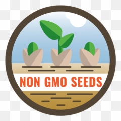 Non - GMO Sprouting Seeds Organic u0026 Conventional Gmo Logo png