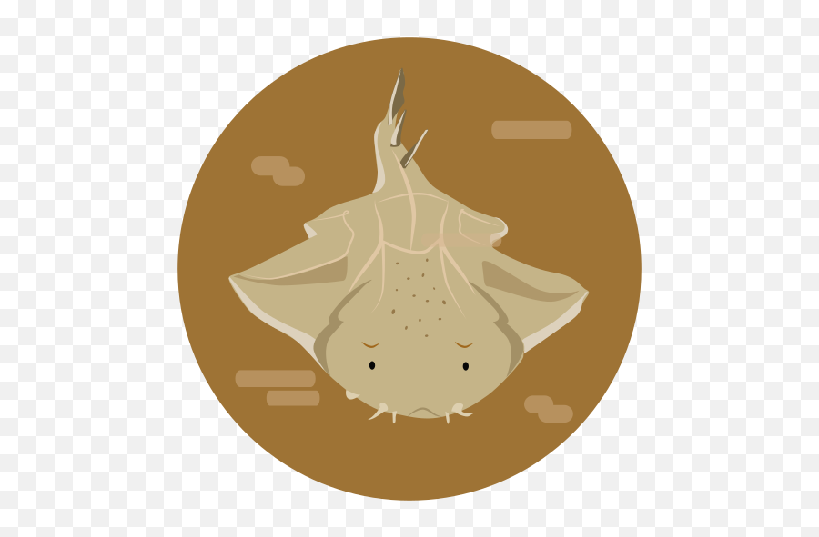 Sea Animal Fish Squatina Angelshark - Illustration Png,Stingray Icon