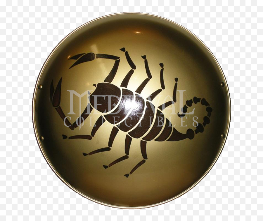 14 Spartan Shield Designs Images - Greek Spartan Shield Greek Shield Scorpion Png,Medieval Shield Icon