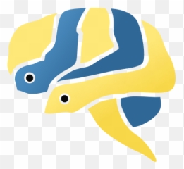 Christian Brodbeck - Fish png