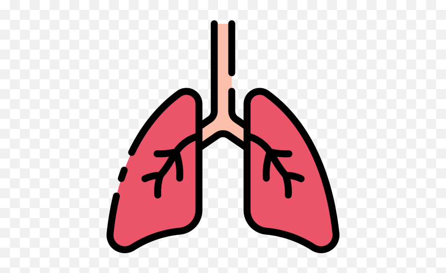 Lungs - Free Healthcare And Medical Icons Language Png,Lungs Icon