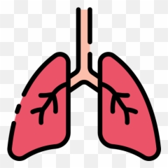 Lungs - Free healthcare and medical icons Language png