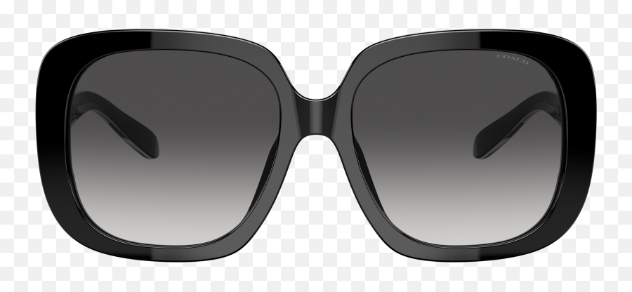 Coach 0hc8323u Sunglasses In Black Target Optical - Coach C6185 Hc8323u 565413 Sunglasses Transparent Brown Png,Absolute New York Icon Eyeshadow Palette