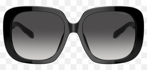 Coach 0hc8323u Sunglasses In Black Target Optical - C6185 Hc8323u 565413 Transparent Brown png