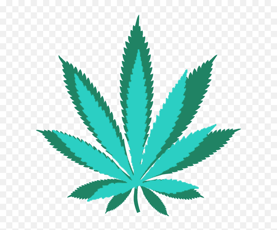 Medical Marijuana Start - Marijuana Leaf Png,Cannabis Logo