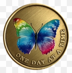 Medallion Png And Vectors For Free - Butterflies,Medallion Png