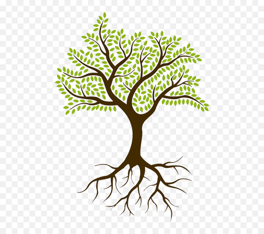 Was Started In 2015 By Sheryl Lyons - Tree With Leaves And Roots Png,Tree Roots Png