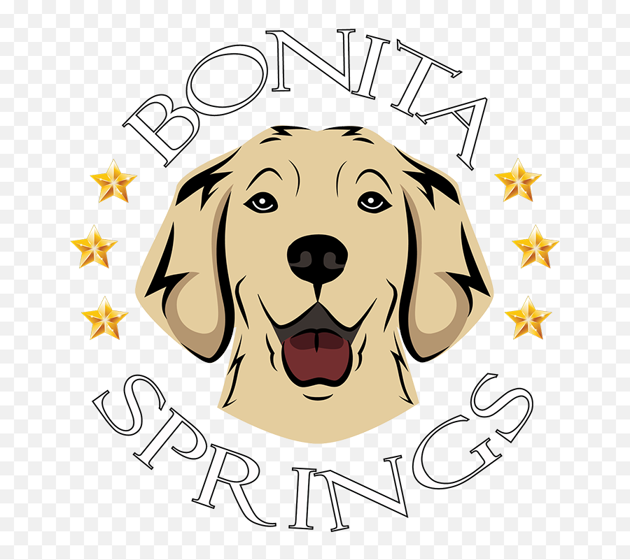Bonita Springs Golden Retriever Kennel - Dog Png,Golden Retriever Transparent Background