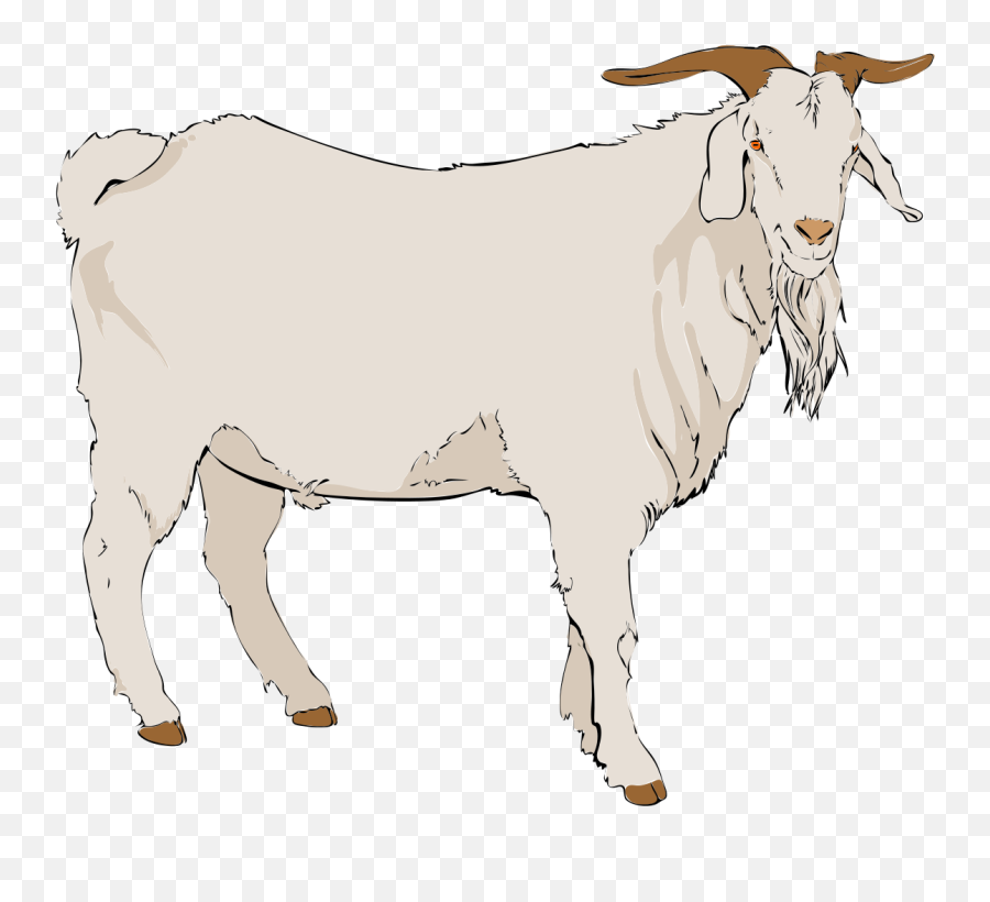 Goat Silhouette Png - Goat Clipart Goat Clipart Png Clip Art,Goat Transparent Background