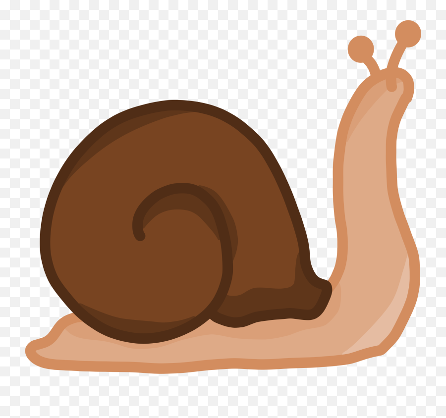 Download Gastropods Snail Slug - Snail Clipart Png,Slug Png