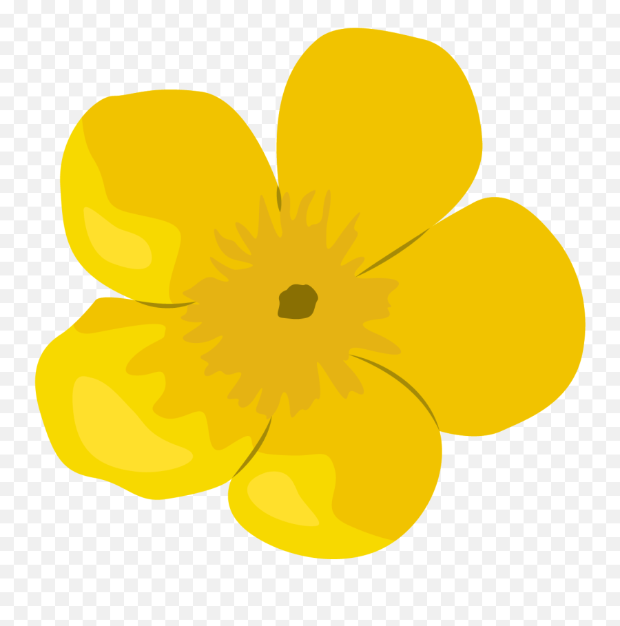 Buttercup Flower - Primrose Png,Buttercup Png
