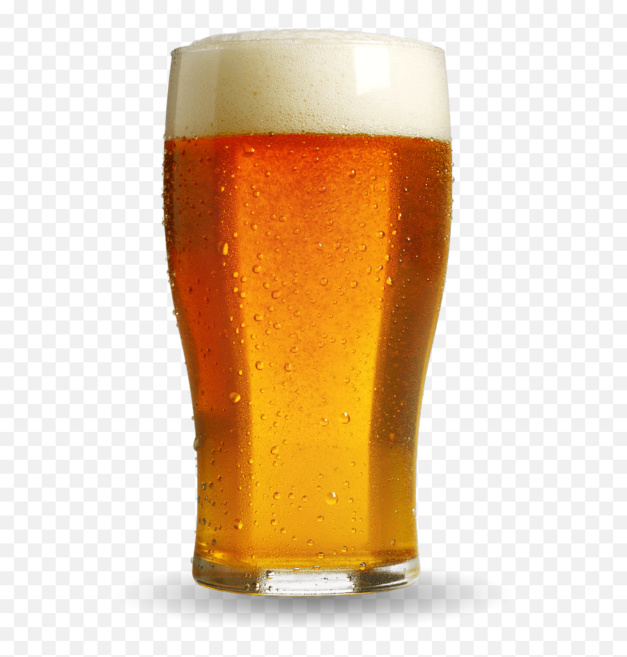 Ale House - Tilba Winery Beer Png,Beer Transparent