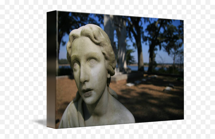 Stone Cold Gaze By Matt Worrell - Classical Sculpture Png,Stone Cold Png