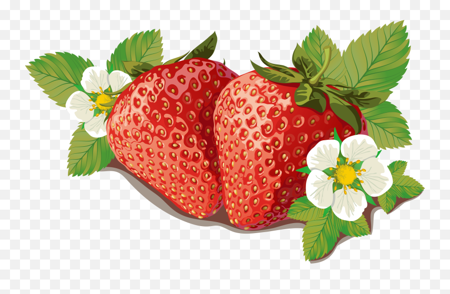 Strawberries Clipart Orange Transparent - Clip Art Strawberry Plants Png,Strawberries Transparent Background