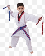 Childrenu0027s Martial Arts J Tiger Taekwondo - Boy Png,Nunchucks Png