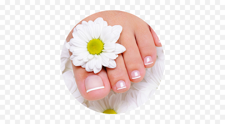 Xo Nails - Home Feets Png,Pedicure Png