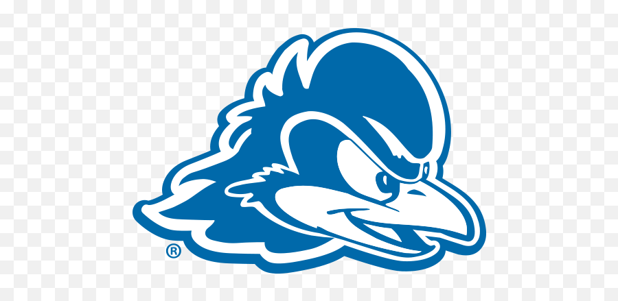 Ocm Icon Branding - University Of Delaware Blue Hen Png,University Of Miami Icon