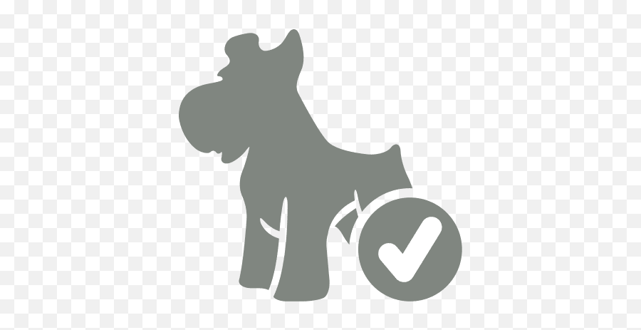 Wheelchair - Dogicon Hook Norton Veterinary Group Dog Supply Png,Dog Icon Transparent