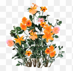 Script Library - Flower Plants For Photoshop png