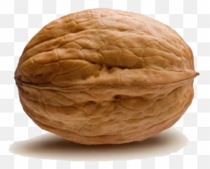 Walnut Png Transparent Images - Walnut Transparent Png,Walnut Transparent