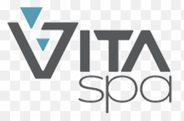 Vita Spas Replacement Pillows - Fashion Brand png