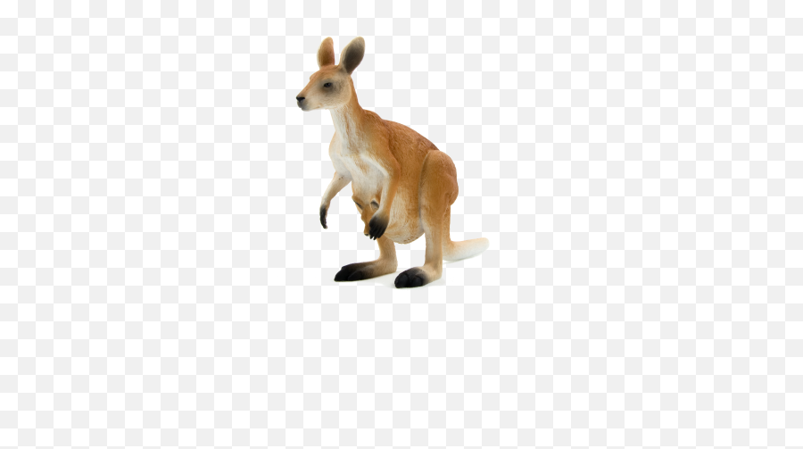 Download Hd Kangaroo Png Transparent Image - Nicepngcom Animal Planet Toys Kangaroo,Kangaroo Transparent Background
