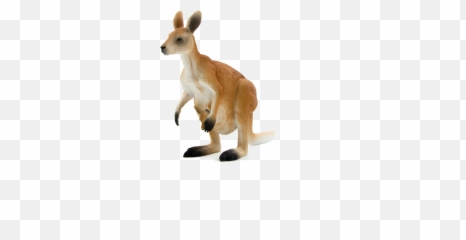 Featured image of post Translucent Kangaroo Transparent Background