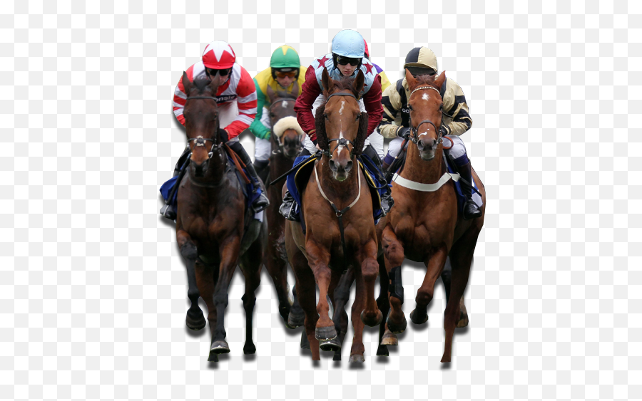 Download Horse Racing Betting Explained - Horse Racing Png,Race Png