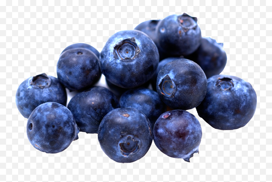 Blueberries Png Images Free Download - Blueberry Png,Berries Png