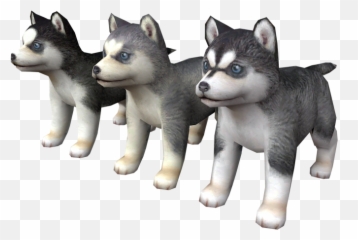 Ds Dsi - Nintendogs Siberian Husky The Models Resource Nintendogs Husky Png,Husky Png