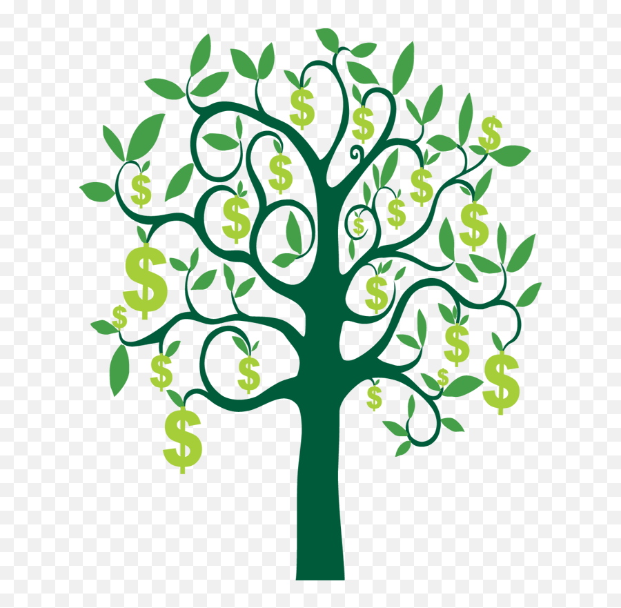 Money Tree - Drawing Of A Peach Tree Png,Money Tree Png