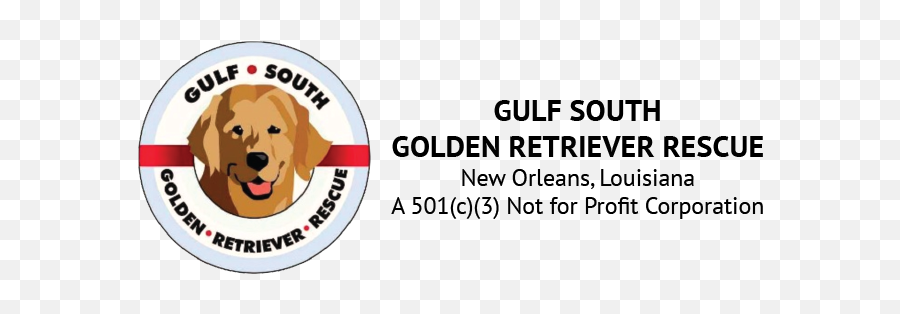 Gulf South Golden Retriever Rescue - Golden Retriever Png,Golden Retriever Transparent