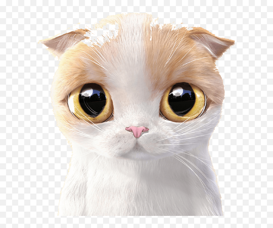 Download Siamese Cat Kitten Cuteness - Cute Cartoon Cat Walpaper Png,Cartoon Cat Png