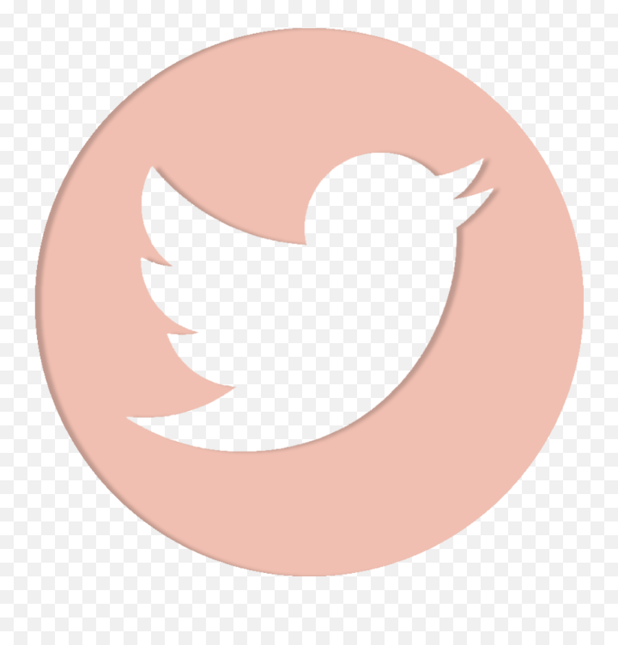 Twitter Logo Png Transparent Background - Transparent Circle Logo Twitter Icon Png,Red Circle Transparent Background