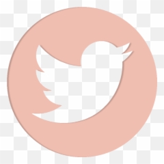 Twitter Logo Png Transparent Background - Transparent Circle Logo Twitter Icon Png
