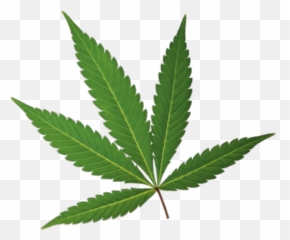 Cannabis Leaf - Greenline POS Marijuana Leaf png