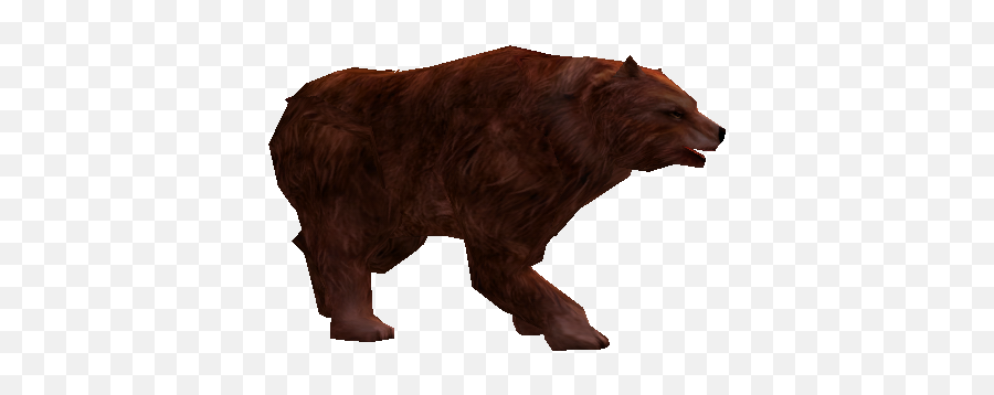 Hungry Brown Bear - Grizzly Bear Png,Brown Bear Png