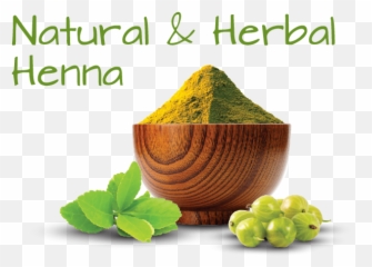 Henna 4 Health - Ll Always Make Time For You Png,Henna Png