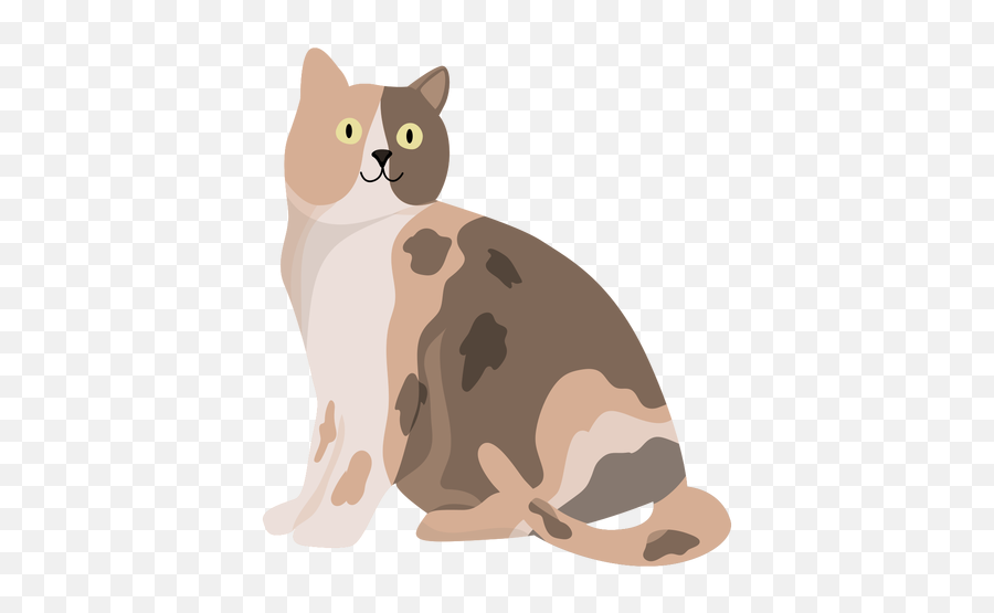 Transparent Png Svg Vector File - Animal Ilustracion Png,Cat Whiskers Png