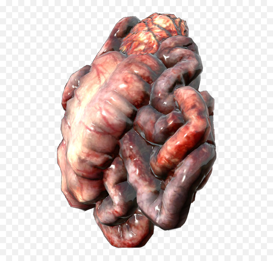 Small Guts - Show Me Pictures Of Human Guts Png,Guts Png